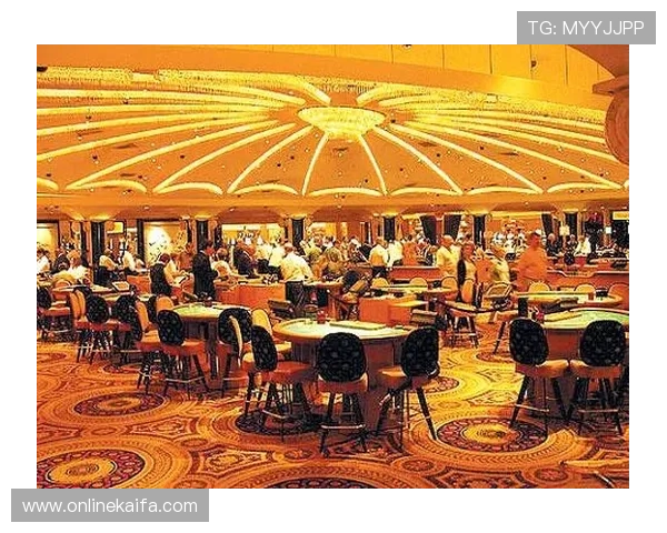 新葡京网娱乐：最新优惠活动与丰富奖励机制助力玩家赢取更多收益