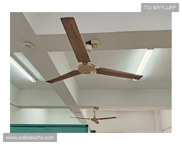 K8凯发线上登陆安全保障措施全面升级确保玩家资金与信息双重安全 K8凯发线上登陆安全保障措施全面升级确保玩家资金与信息双重安全