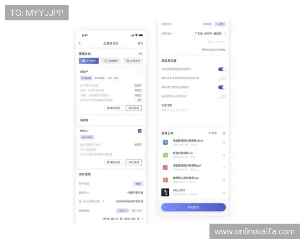 凯发网娱乐官网集团未来发展战略：引领行业潮流实现持续增长的核心路径