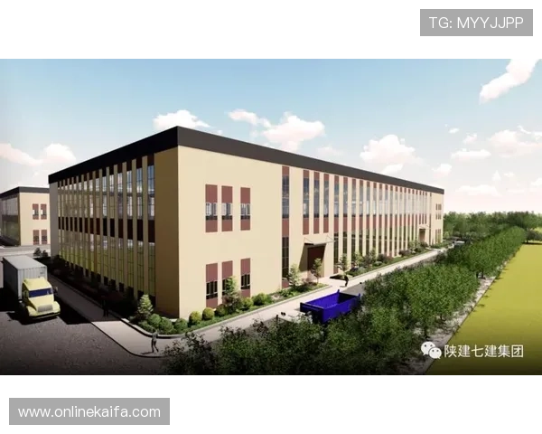 深入了解k8集团官网的企业文化、发展历程及未来战略规划，提升品牌认知度