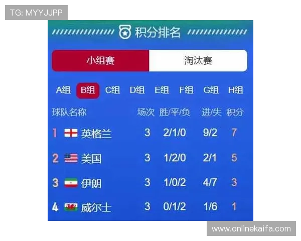 世界杯伊朗对阵新西兰比赛球票价格最新信息及购买指南